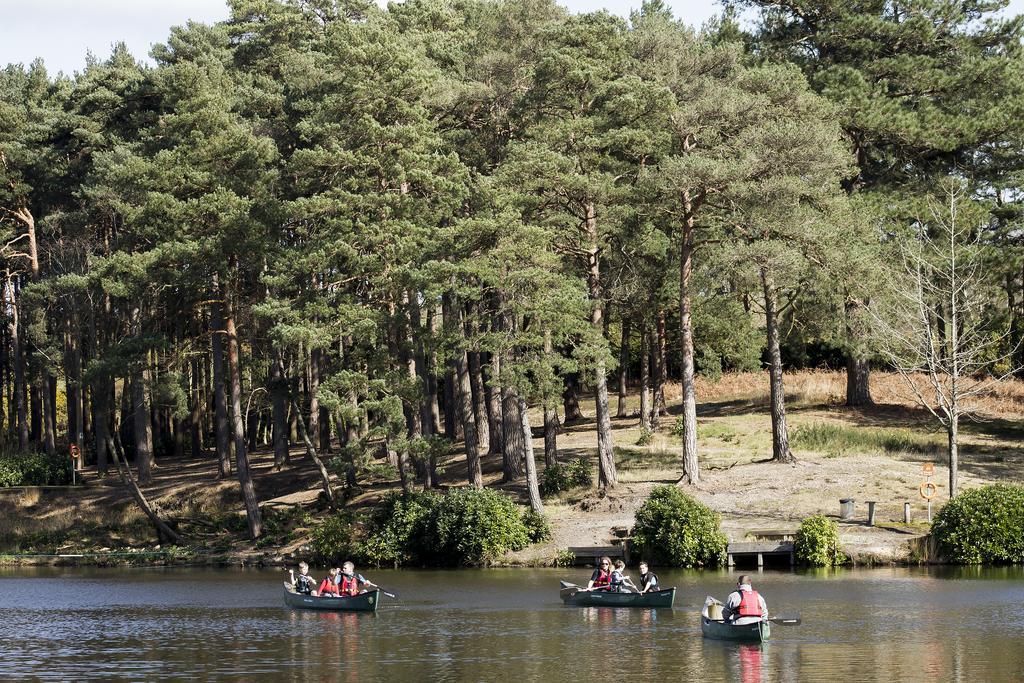 Avon Tyrrell Outdoor Activity Centre Villa Bransgore Luaran gambar